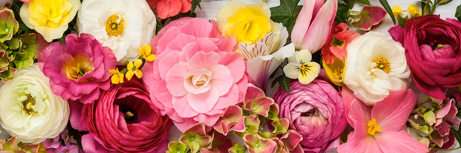 Assorted colorful flowers including pink roses, white ranunculus, and yellow blooms are arranged closely together