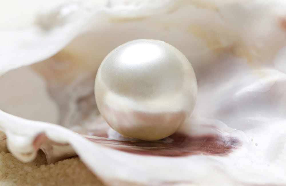 A single, shiny pearl rests inside an open oyster shell, surrounded by a soft, pearlescent, and slightly textured background.