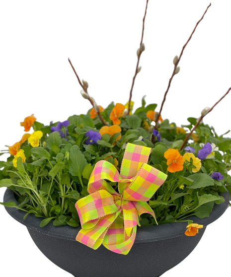 Pansy Pot Garden!