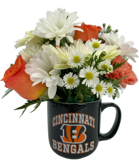 Cincinnati Bengals 