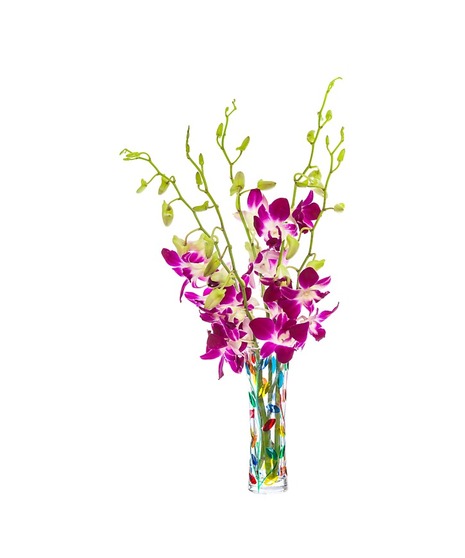 Murano Glass Budvase | Cincinnati (OH) Gift Delivery | Adrian Durban ...