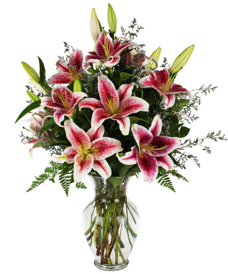 Enchanted Stargazer Lilies Flowers Cincinnati (OH)