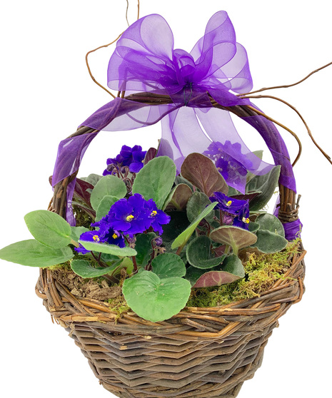 Violets in a Basket