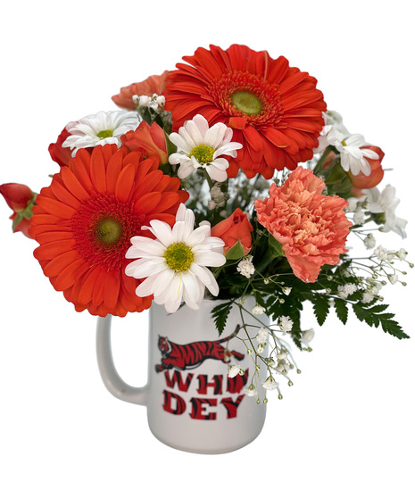 Cincinnati Bengals 'Who Dey' Mug Bouquet, Cincinnati (OH) Flower Delivery