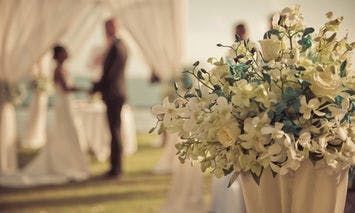 A bouquet of white and blue flowers stands prominently, while a bride and groom exchange vows under a draped archway in a sunlit, outdoor wedding setting.